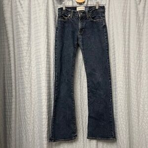 2005 GAP Low Rise Flare Stretch